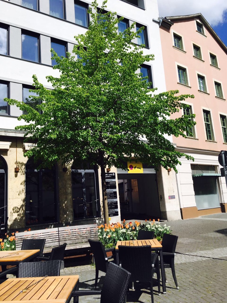 Bild Eingang Bankplatz